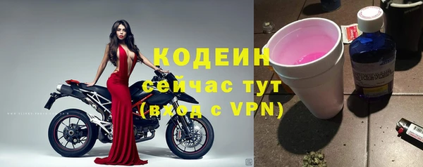 дмт Арсеньев