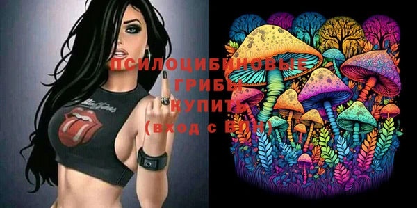ешки Армянск