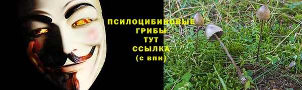 дмт Арсеньев