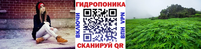 kraken маркетплейс  Славск  Каннабис OG Kush 